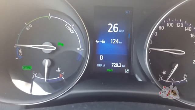Toyota C-HR: Modo SPORT aceleración desde 0 смотреть онлайн