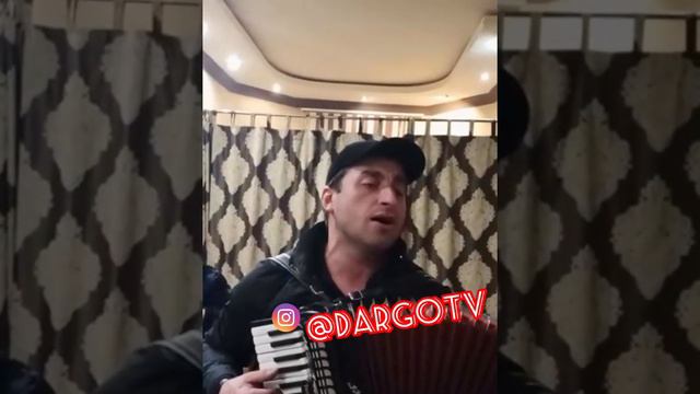 ЗАУР МУЛЕБКИНЕЦ ДАРГИНСКАЯ ПЕСНЯ смотреть онлайн