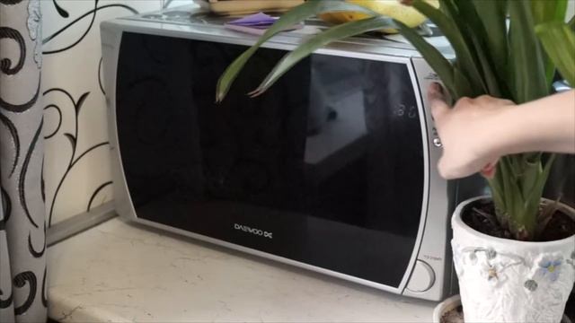 Наука о Животных и их Поведение