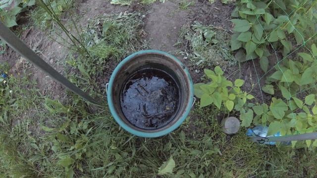 Чудесная природная подкормка огурцов для быстрого роста смотреть онлайн