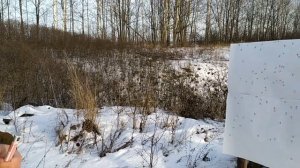 МР-155 БАТЛ отстрел с Родного чока-0.25 и Progress-0.25 на 30м,кучность,резкость?