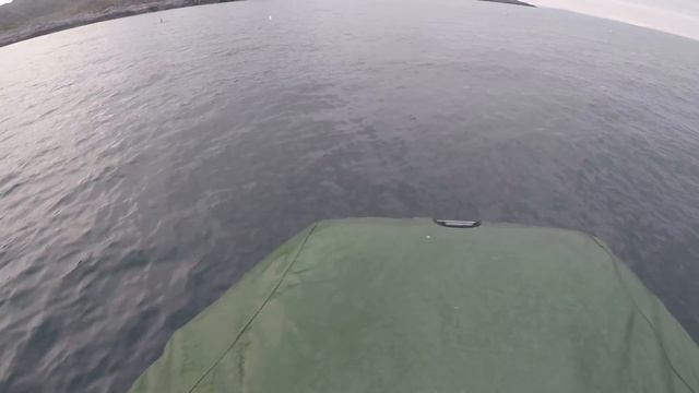 СЕВЕРНЫЙ ДЕЛЬФИН / ШОУ / NORTH DOLPHIN / SHOW смотреть онлайн