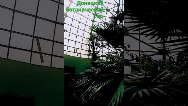 Экскурсия в Донецкий ботанический сад смотреть онлайн