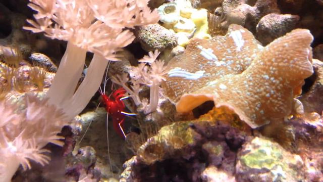 Мое море смотреть онлайн