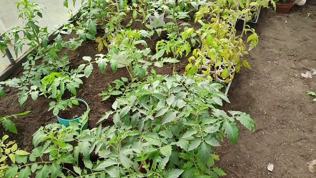 Снежный, огородный, творческий влог! Картина маслом🍄Май 2024 смотреть онлайн