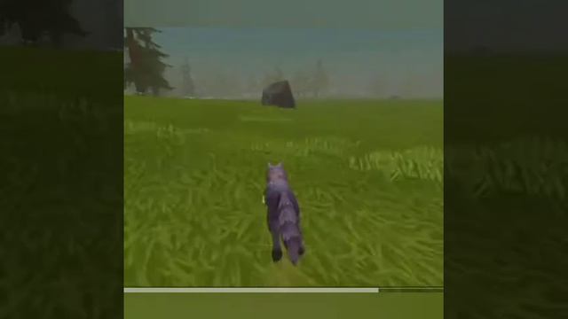 Виды игроков в Wild Craft