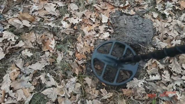 Полевой тест Пинпоинтера с экраном. LCD Display Pinpointer Metal Detector real test смотреть онлайн