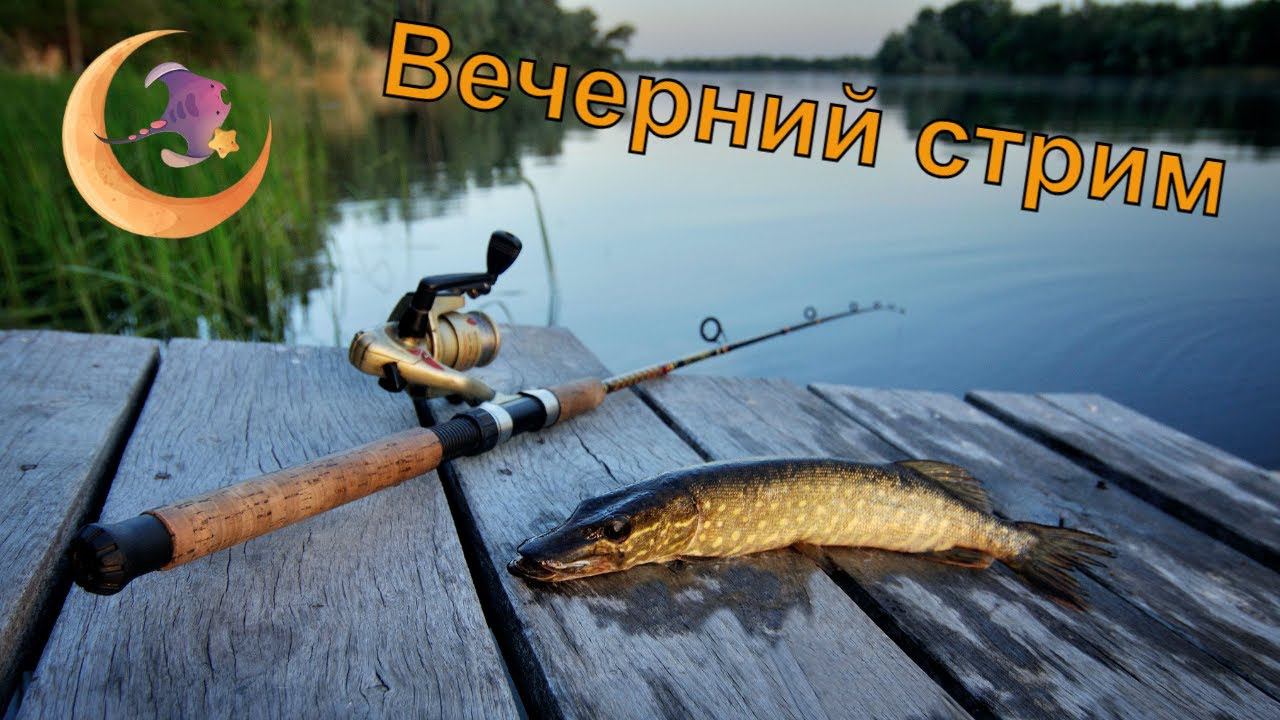 Вечерний стрим в Русской рыбалке 4 #shorts  #rf4 #русскаярыбалка4 #рр4