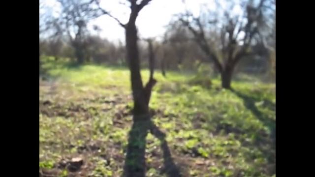 КУПИЛ ДОМ В ДАЛИ ОТ ГОРОДА смотреть онлайн