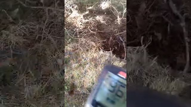Minelab X-TERRA PRO- Специален тест, който показва защо новия детектор X-TERRA PRO е топ! смотреть онлайн