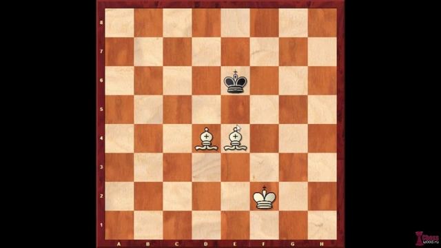 Мат двумя слонами и королём смотреть онлайн