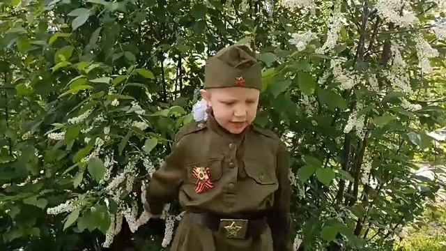 Силигина Вера "Пусть будет мир", автор Наталья Найденова смотреть онлайн