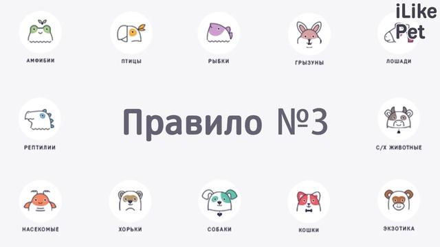 Как правильно чистить аквариум? смотреть онлайн