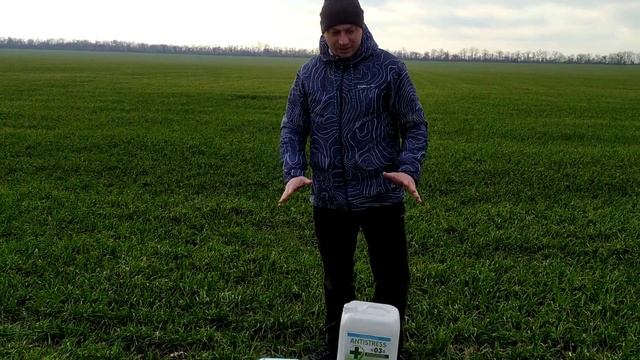 Cтимулятор роста с аминокислотами на пшеницу ячмень рапс Антистресс 03 и Гумат Калия Натрия ЛФ 20. смотреть онлайн