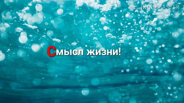 Размышления о смысле жизни смотреть онлайн