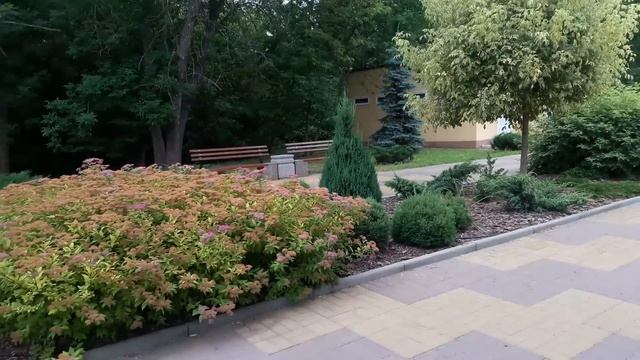 Славянск. 23 июня 2022г. Городской парк. смотреть онлайн