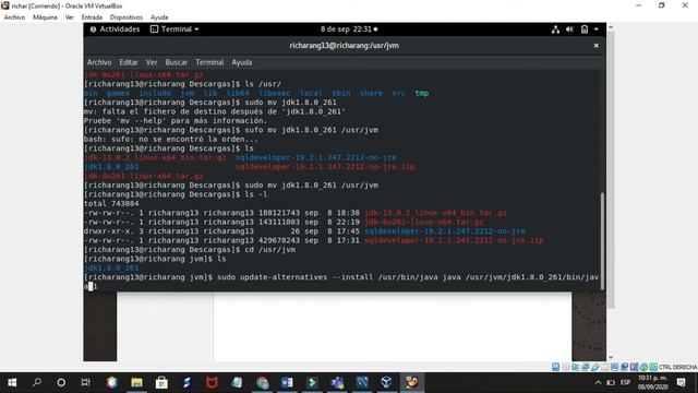 instalacion de sql developer y jdk 8 en linux oracle смотреть онлайн