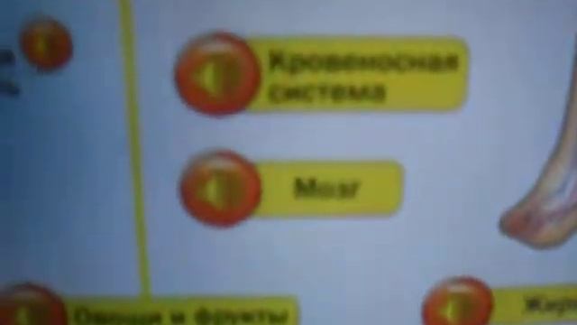 Распродажа игрушек на Slando.Плакат развивающий Говорящая Анатомия Для детей Возраст 4 7 лет смотреть онлайн