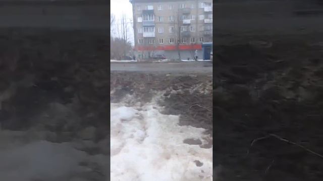 Гуляю с собакой смотреть онлайн