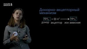 Амины. Анилин. Урок 27.  Химия 10 класс