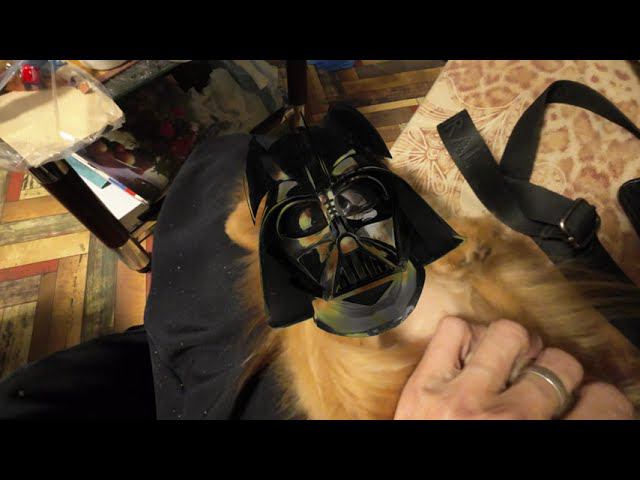 Рассказываю показываю мысли вслух и факты смотреть онлайн