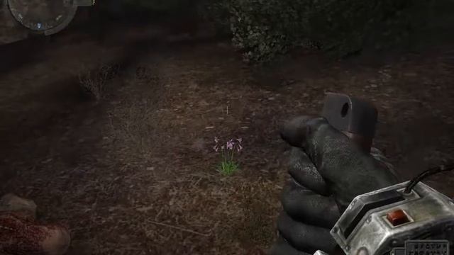 S.t.a.l.k.e.r Время Альянса 3 Связь Времен. Цветок жизни для Белого Волка. смотреть онлайн