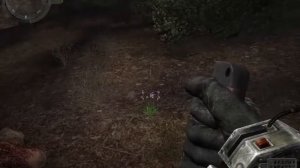 S.t.a.l.k.e.r Время Альянса 3 Связь Времен. Цветок жизни для Белого Волка.