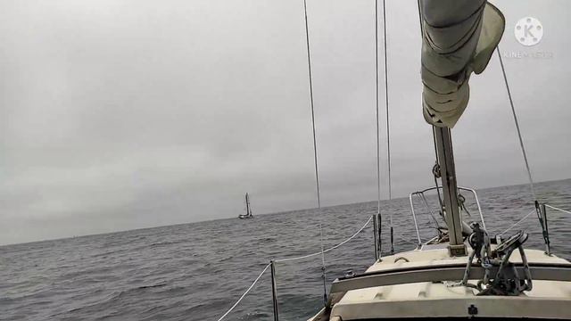 Выход в океан и морская еда как бонус смотреть онлайн