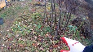 Приствольный круг. Какого размера делаю и на какую глубину