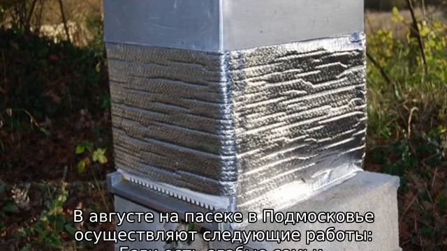 Работы на пасеке в августе