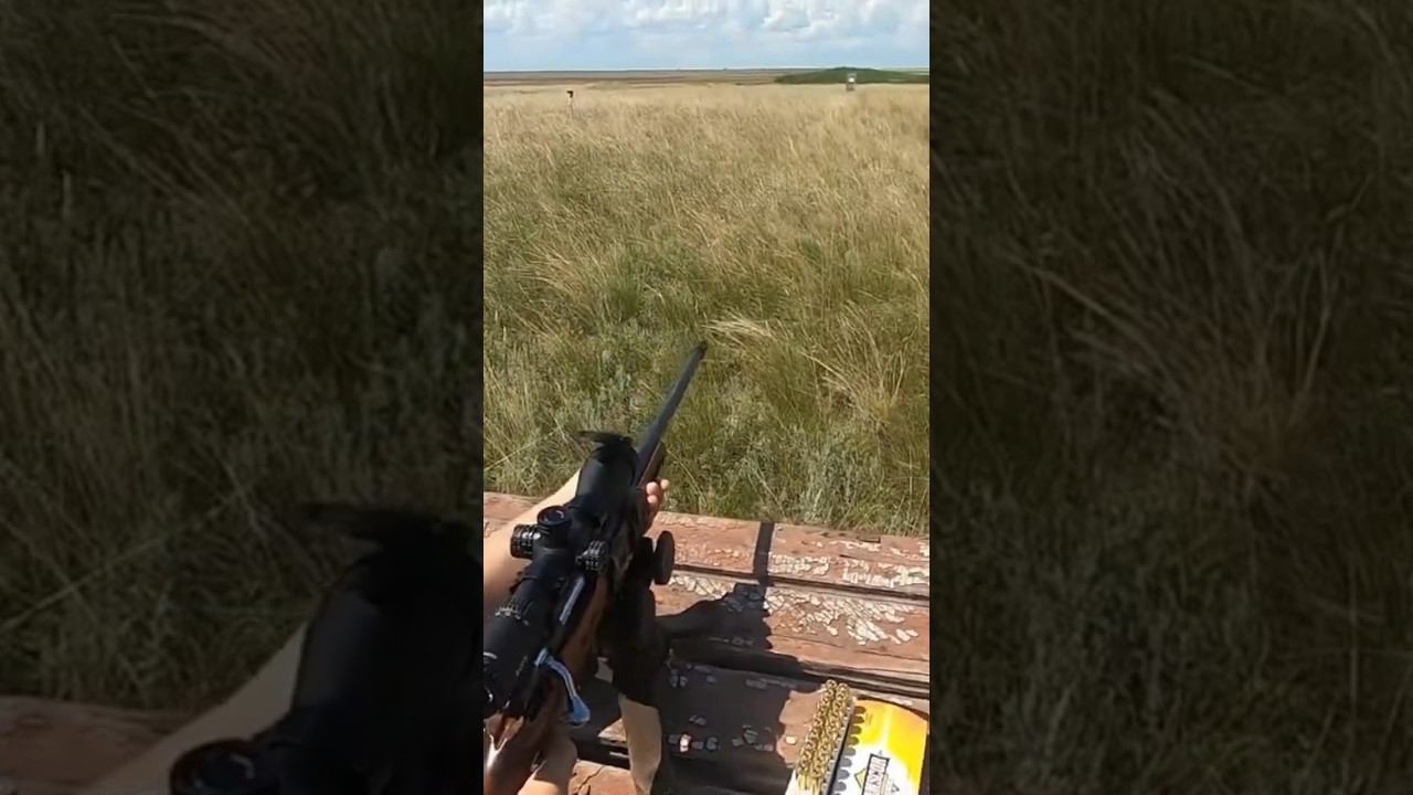 Стрельба на дальние расстояние #охотанасурка #охотаназайца #охотанагуся #охота смотреть онлайн