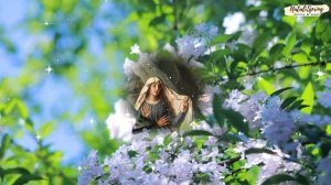 С Днем Жен-Мироносиц! Красивое поздравление с праздником ЖЕН-МИРОНОСИЦ! Православный Женский день!