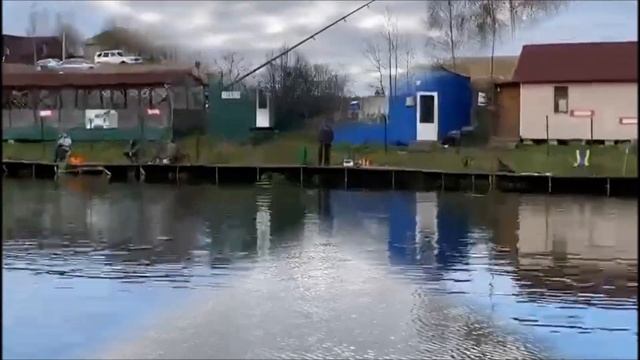 После обеда рыба тоже клюет! 1 и 2 сектор. Клевое место, д. Савельево смотреть онлайн