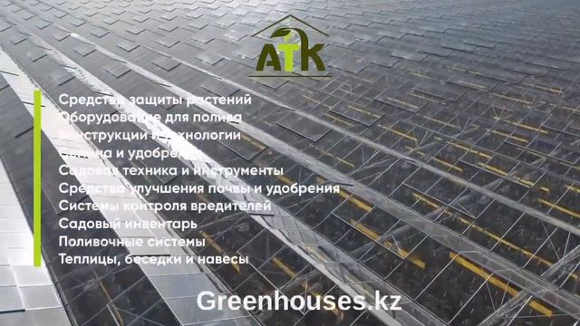 13-Я Международная выставка смотреть онлайн