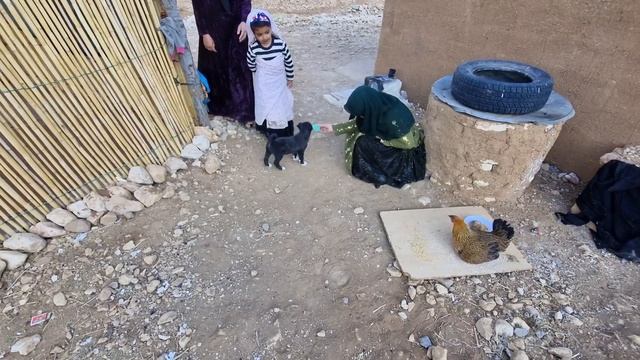 Documentary About Iranian Nomadic Life: Chickens Take Their Heads Out Of Eggs, Life Is Going On????