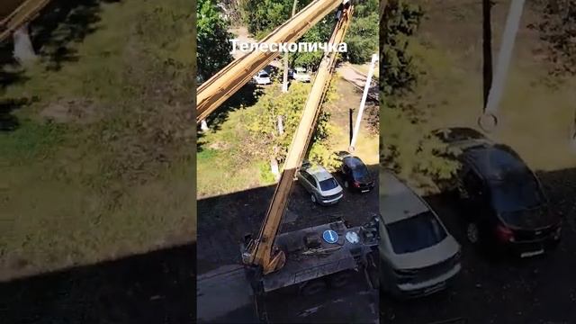 ЗАДОЛБАЛИ ГОЛУБИ смотреть онлайн