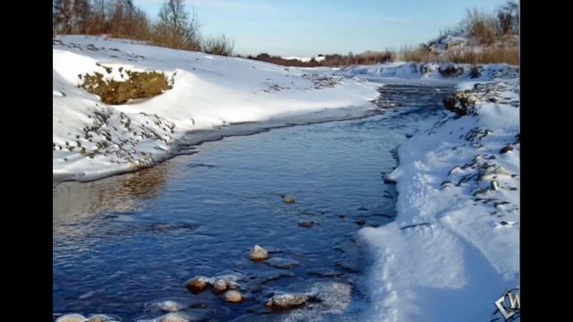 Он-лайн мероприятие в СХУ имени Ф. В. Сычкова 