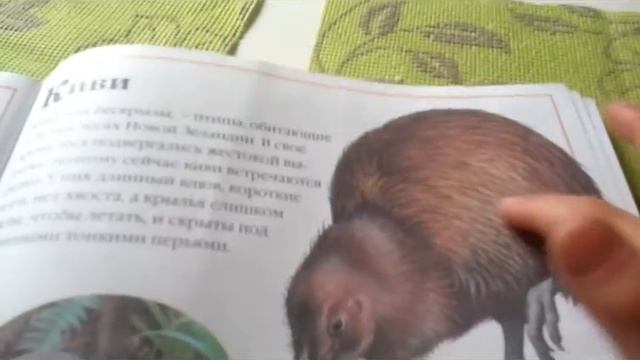 про птицу киви смотреть онлайн