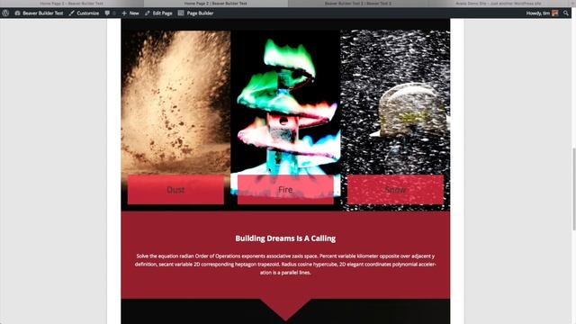 Beaver Builder WordPress Theme Review and website builder test смотреть онлайн