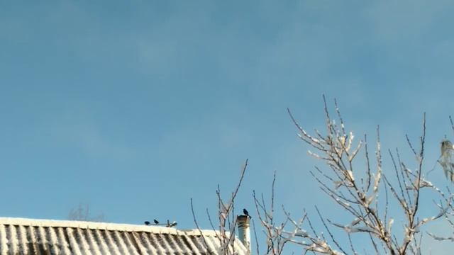 Зимний сон весенним утром:) смотреть онлайн