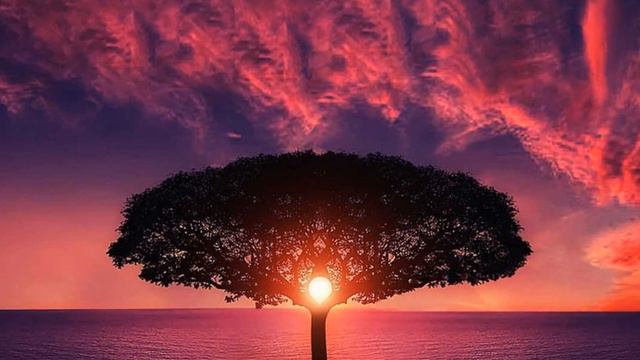 Казка "Чарівна флейта" Галина Римар смотреть онлайн