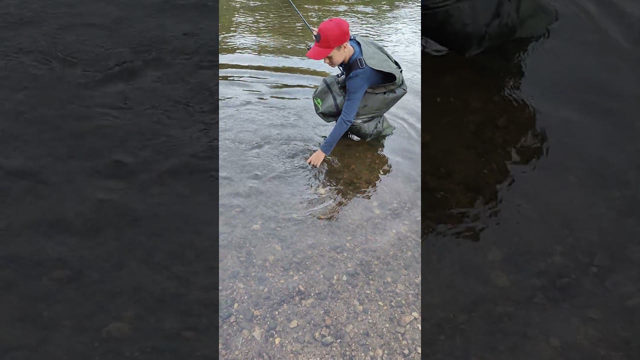 Судака в заброд. Осваиваю новый вид ловли #fishing #рыбалка #viral #судак #судакнавоблер #рыбаки смотреть онлайн