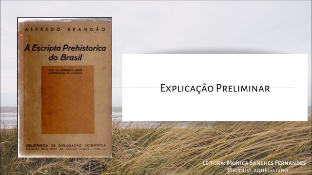 Explicação Preliminar | A Escrita Pré-histórica do Brasil | Alfredo Brandão смотреть онлайн