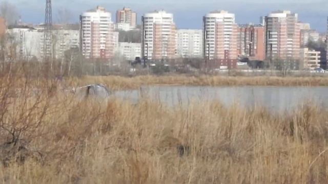 DSCN3027 смотреть онлайн