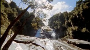 Дейнотерий ( Прогулки с чудовищами )