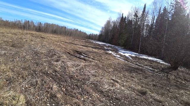 Прогулка в новый лес 18 апр 2023 1ч смотреть онлайн