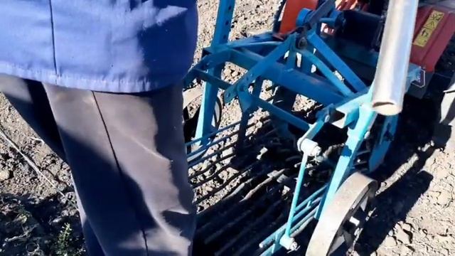 Копаем картошку мотоблоком Ока.22.08.2020г. смотреть онлайн