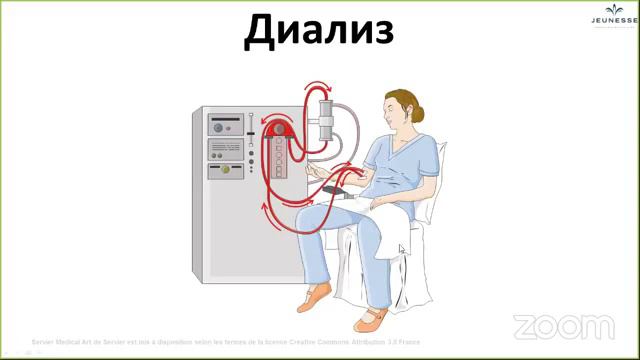 Здоровье почек смотреть онлайн