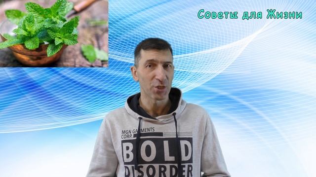 Чем Больше, тем Лучше и СЕРДЦЕ КРЕПЧЕ - 5 продуктов для СОСУДОВ и ДОЛГОЛЕТИЯ смотреть онлайн