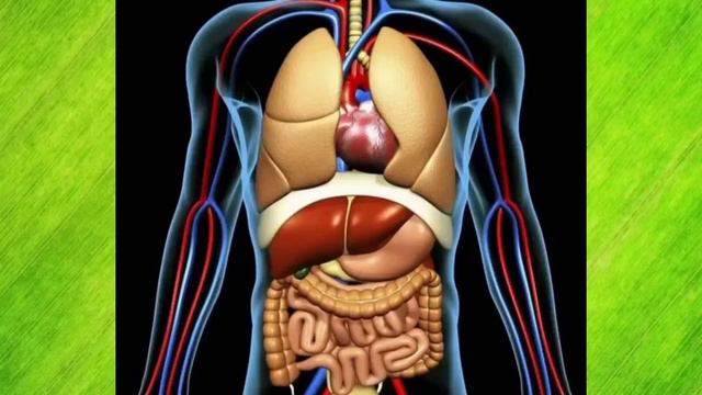 Топ 5 самых опасных растений на планете!Подпишись что бы узнать еще больше! смотреть онлайн